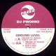 Ground Level - Dreams Of Heaven (Candle Light Mix / Incense Mix / Bounce Mix) Vinyl Promo