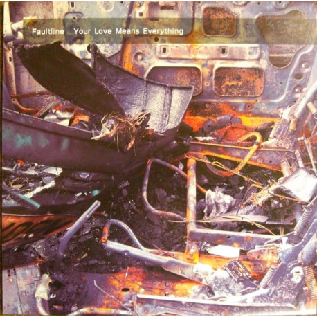 Faultline - Your Love Means Everything (13 Track LP) Wild Horses / Clocks / We Came From Lego Bricks / Lost Broadcast