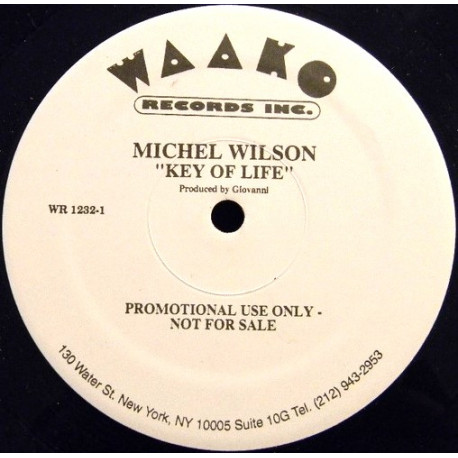 Michel Wilson - Key Of Life (Club Mix / Extended Club Mix / Spacey Salsa Dub / Keys Of Life / Radio Mix)