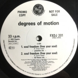 Degrees Of Motion - Soul Freedom (Powerline Mix / Full Flavour Mix / Wicked Riddem / Free Your Soul) Vinyl Promo