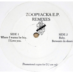 Mary J Blige - I Love You (For The Record Remix) / Miss Jones - Where I Wanna Be (Das EFX Rmx) / Brandy - Baby (Mad Lion Rmx)