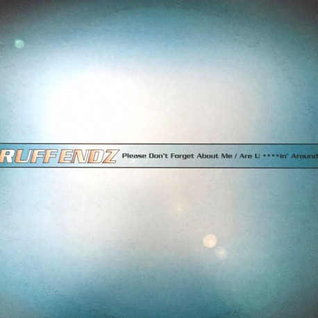 Ruff Endz - Please Dont Forget About Me / Are U .......in Around (Vinyl Promo)