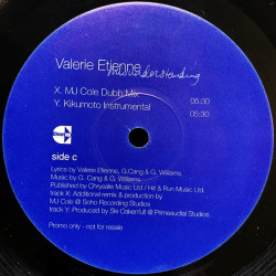 Valerie Etienne - Misunderstanding (LP Version / MJ Cole Dub / Roger Sanchez Dub / Kikumoto Instrumental) Half A Double Promo