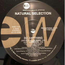 Natural Selection - Do Anything (Justin Strauss Remix / Just Dubbin / Just Right Mix / Just Right Dub / Radio Edit) Vinyl Promo