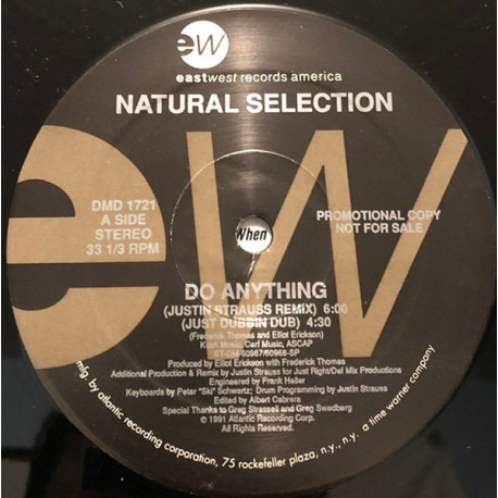 Natural Selection - Do Anything (Justin Strauss Remix / Just Dubbin / Just Right Mix / Just Right Dub / Radio Edit) Vinyl Promo