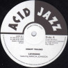 Night Trains - Lovesick / On My Own / A Bad Trip (Vinyl Promo)