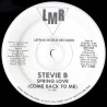 Stevie B - Spring Love (Come Back To Me) Club Mix / Dub / Acapella / Beats / Radio Mix
