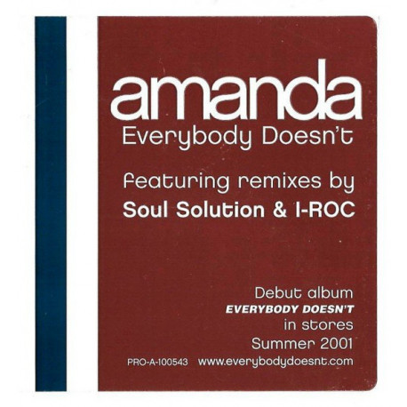 Amanda - Everybody Doesnt (Soul Solution Club Mix / Beats / Club Edit / I Roc Extended Rhythm Mix / Radio Edit) Vinyl Promo