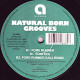 Natural Born Grooves - Fore Runner (Original / SNJ Remix) / Surface