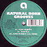 Natural Born Grooves - Fore Runner (Original / SNJ Remix) / Surface