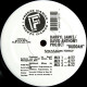 Darryl James / David Anthony Project - Buddah (Mix 1 / Mix 2 / Mix 3) / Its Gettin Bigger (Mix 1 / Mix 2 / Mix 3)