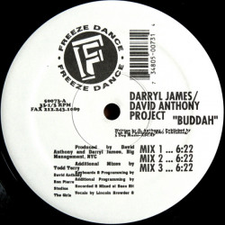 Darryl James / David Anthony Project - Buddah (Mix 1 / Mix 2 / Mix 3) / Its Gettin Bigger (Mix 1 / Mix 2 / Mix 3)
