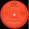 Evolution Bridge - Bossa Nova / Call Your Name (12" Vinyl Record)