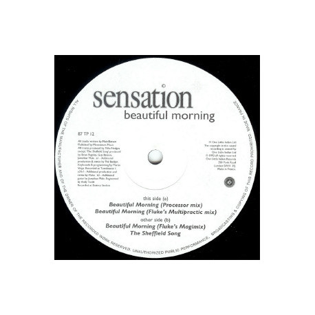 Sensation - Beautiful Morning (Processor Mix / Fluke Multipractic Mix / Fluke Magamix) / The Sheffield Song