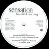 Sensation - Beautiful Morning (Processor Mix / Fluke Multipractic Mix / Fluke Magamix) / The Sheffield Song