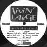Livin Large - Love Is What We Need (Deep Club Mix / Foxy Dub / Drums / Full On Messin Mix / 5 Minute Wonder / 4 The DJ)