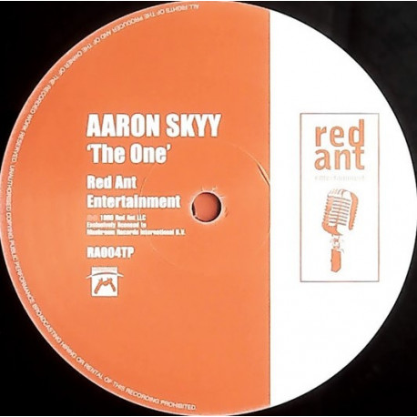 Aaron Skyy - The One (One Sided Vinyl Promo)