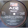 Ade - Raise (Stonebridge Remix / Tribute Mix / Promised Land Mix / Deep Distraxion Handbag Vocal / Handbag Dub) Vinyl Promo