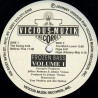 Frozen Bass Volume 1 - The Swing / Believe This / Too Much Lovin / Hype / Hype (Factory Mix)