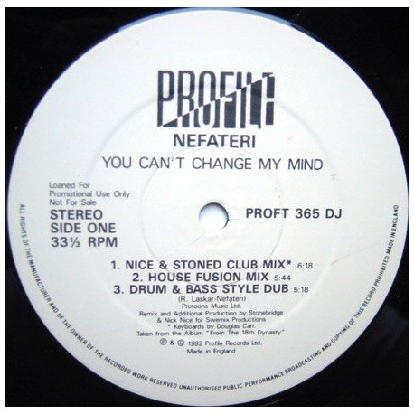 Nefateri - You Cant Change My Mind (Stonebridge Club Mix / House Fusion Mix / Drum & Bass Dub / Principles Horn Mix) Promo
