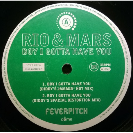 Rio & Mars - Boy I Gotta Have You (Diddy Jammin Hot Mix / Diddy Spacial Distortion Mix / Candy Girls Mix / D Bop Mix) Vinyl