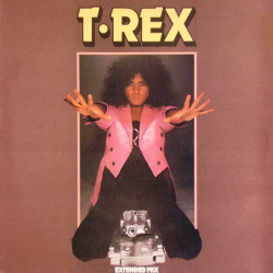 T Rex - Megarex 2 (Nine Big Hits Megamixed by DMC Sanny X) / Tame My Tiger / Chrome Sitar / Solid Baby
