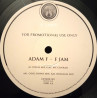 Adam F - F Jam (Original Mix / Vocal Mix / Cool Down Mix) Vinyl Promo