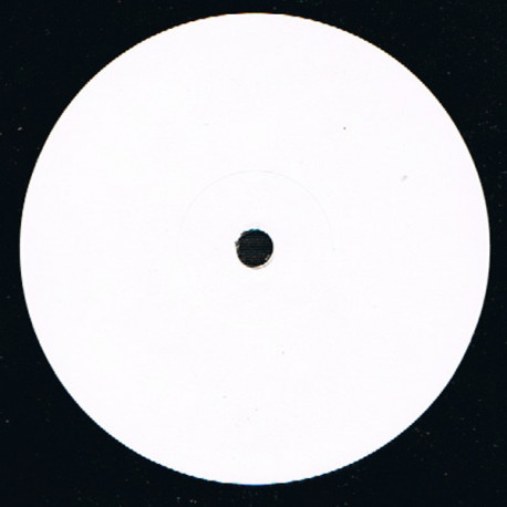 Sublime - TGV (Paris-Marseille / Paris-Lyon / Gipsys Love Mix) Vinyl Promo