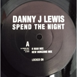 Danny J Lewis - Spend the night (7 UK Garage Remixes) 12" Vinyl Record Doublepack Promo
