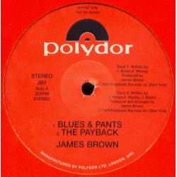 James Brown - Stone To The Bone / The Payback / There It Is / Blues & Pants (Vinyl Promo)