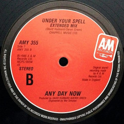 Any Day Now - Under Your Spell (Extended Mix) / I'll Be Waiting (Extended Mix)