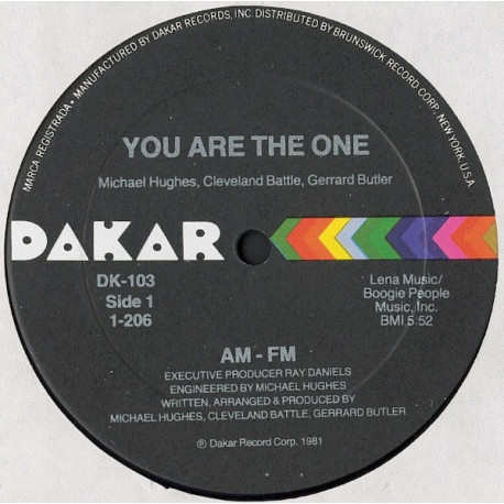 AM FM - You Are The One (Vocal Mix / Instrumental)  Vinyl Looks Unplayed