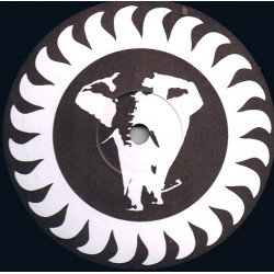 Brand New Heavies - Sometimes (Mix 1 / Mix 2) Vinyl Promo