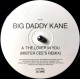 Big Daddy Kane - The Lover In You (Mister Cee Remix) / Im Not Ashamed (Feat Alyson Williams) Vinyl Promo Samples Loose Ends