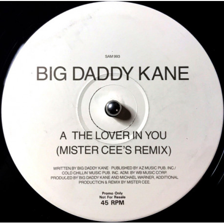 Big Daddy Kane - The Lover In You (Mister Cee Remix) / Im Not Ashamed (Feat Alyson Williams) Vinyl Promo Samples Loose Ends