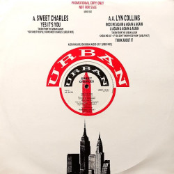 Sweet Charles - Yes Its You / Lynn Collins - Think (About It) / Rock Me Again & Again (Vinyl Promo)