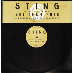 Sting - If You Love Somebody (Brothers In Rhythm Soundtrack) Vinyl Promo