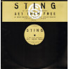 Sting - If You Love Somebody (Brothers In Rhythm Soundtrack) Vinyl Promo