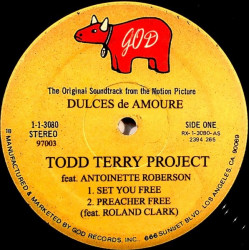 Todd Terry Project  - Set You Free (Remix Feat Shawnee Taylor / Mix Feat Antoinette Roberson / Preacher Free Feat Roland Clark)