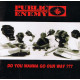 (CD) Public Enemy - Do you wanna go our way / I