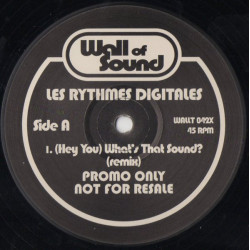 Les Rythmes Digitales - Hey You Whats That Sound (Remix) Vinyl Promo