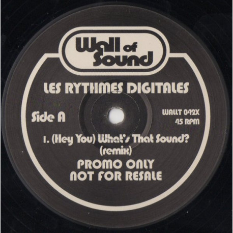 Les Rythmes Digitales - Hey You Whats That Sound (Remix) Vinyl Promo
