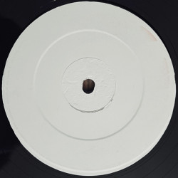 Barbara Tucker - Everybody Dance (The Horn Song) Club Asylum Mix / DJ Pierre Dub (AS NEW 12" Vinyl Record Promo)