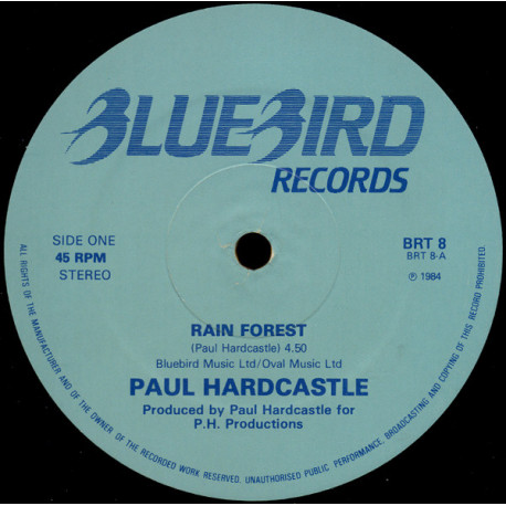 Paul Hardcastle - Rain forest / Sound chaser (Electro Classic) 12" Vinyl Record