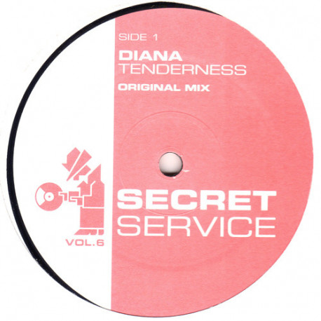 Diana Ross - Tenderness (Secret Service Remix / Secret Service Dub)