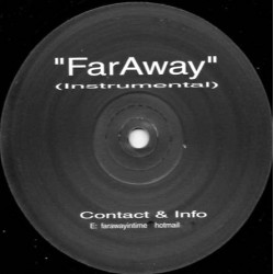 Martha & The Muffins - Faraway (Remixed Instrumental Of Echo Beach) Vinyl Promo