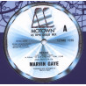 Marvin Gaye - Praise / Funk Me