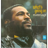 Marvin Gaye - Whats Going On LP (Original With Inlay) Mercy Mercy / Inner City Blues / Save The Children / Flyin High