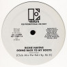 Richie Havens - Going Back To My Roots (Danny Krivit Re Edit / Original LP Version) Vinyl Promo