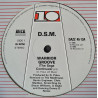DSM - Warrior Groove (The Saga Continues / The Final Chapter / Jazz Groove)